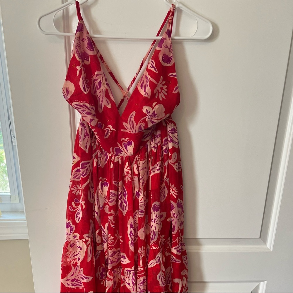 Vici Floral Maxi Dress in Red and Pink